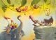 Thumbnail-3