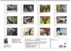Thumbnail-10