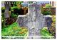 Thumbnail-11