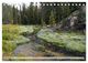 Thumbnail-11
