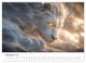 Thumbnail-12