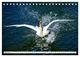 Thumbnail-14