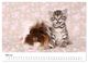 Thumbnail-9