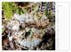 Thumbnail-12