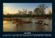 Thumbnail-11