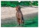 Thumbnail-10