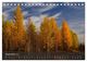 Thumbnail-8