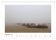 Thumbnail-11
