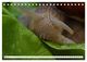 Thumbnail-10