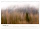 Thumbnail-14