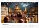Thumbnail-14