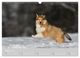 Thumbnail-14