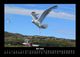 Thumbnail-9