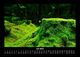 Thumbnail-11