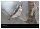 Thumbnail-10