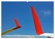 Thumbnail-8