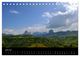 Thumbnail-8