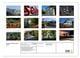 Thumbnail-11