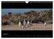 Thumbnail-9