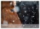 Thumbnail-14