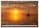 Thumbnail-12