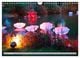 Thumbnail-12
