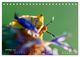 Thumbnail-12