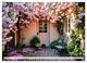Thumbnail-9