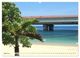 Thumbnail-4