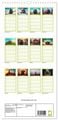 Thumbnail-8