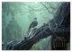 Thumbnail-13