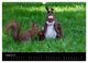 Thumbnail-10