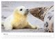 Thumbnail-10