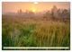 Thumbnail-11