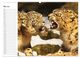 Thumbnail-9