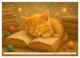 Thumbnail-8