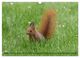 Thumbnail-11