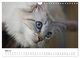 Thumbnail-10