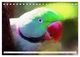 Thumbnail-9