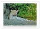 Thumbnail-11