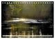 Thumbnail-12