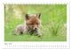 Thumbnail-9