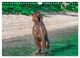Thumbnail-10