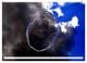 Thumbnail-9