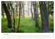 Thumbnail-10