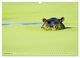 Thumbnail-14