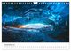 Thumbnail-14