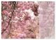 Thumbnail-13