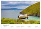 Thumbnail-13