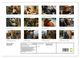 Thumbnail-12